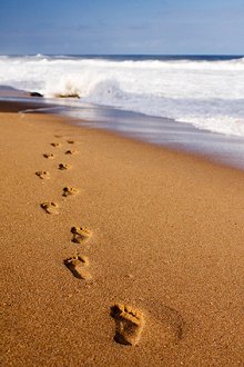 <B>The idea behind Visualisation</B>. Library Image: Footsteps in Sand